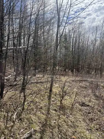 NATURE TRAIL Road, TOWNSEND, WI 54175