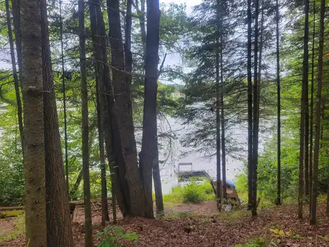 18912 ROCKY Lane, TOWNSEND, WI 54175