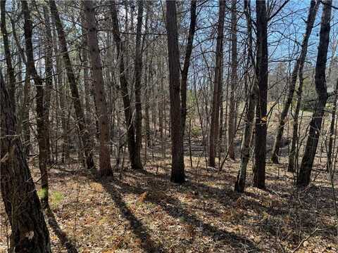 5 Acres On Spring Lake Road, Trego, WI 54888