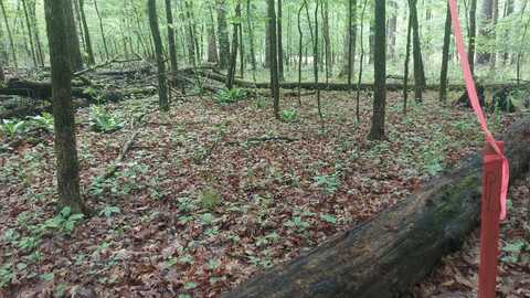 Warren Lane, Decatur, TN 37322