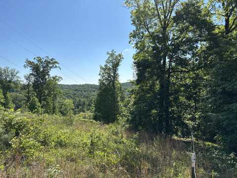 547 Van Davis Lot 25 Road NW, Georgetown, TN 37336