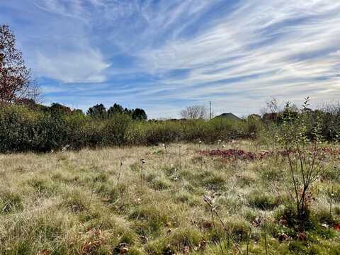 Outback Trail, Pinckney, MI 48169