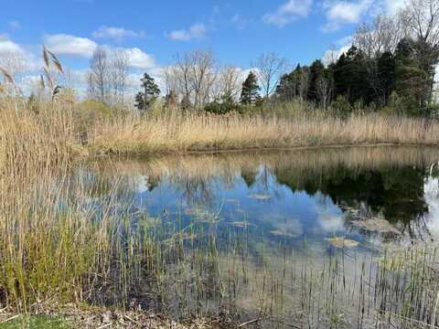 14605 Apple Avenue, Ravenna, MI 49318