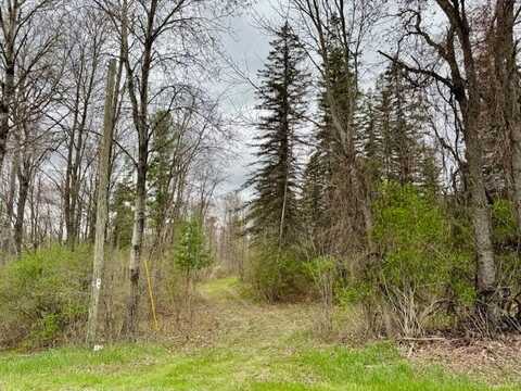 13+/- 160th Avenue, Hersey, MI 49639