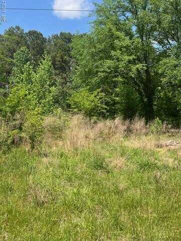 .26+AC THOMASTON Road, Newsoms, VA 23874