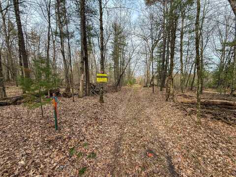 1234 Cottonwood Avenue, Howard City, MI 49329