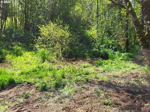 0 SALMON RIVER HWY, Grand Ronde, OR 97347