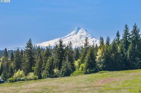 55 Pyatt RD, White Salmon, WA 98672