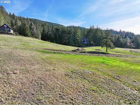 2 Graham LN, White Salmon, WA 98672