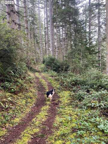 Hwy 101N, North Bend, OR 97459