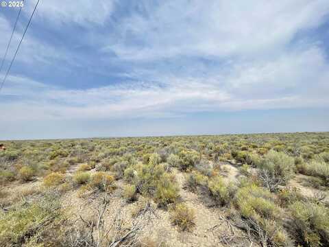 Fossil Lake Rd #Tl 1100, ChristmasValley, OR 97641