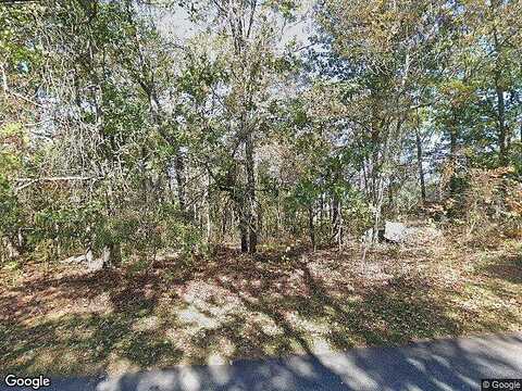 Mountain Ridge, MANCHESTER, GA 31816