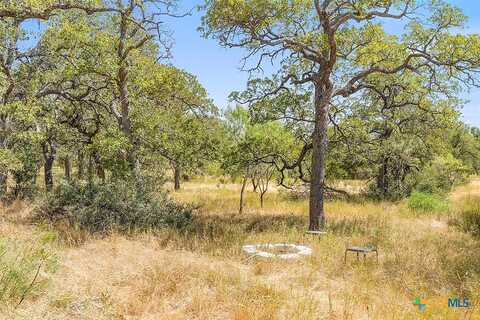 Acres Herber-Schaefer Road, Fredericksburg, TX 78624