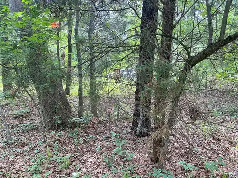 Tom Hickman Ln, Log Cabin, TX 75148