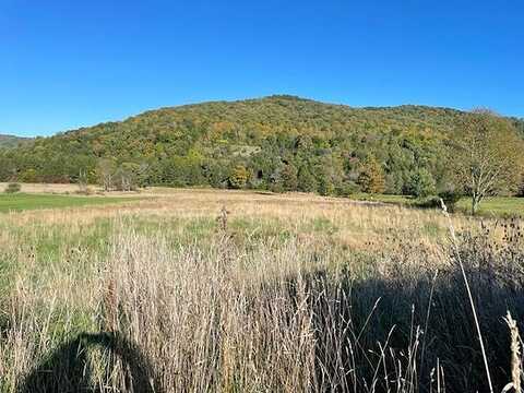 Bells Run Rd, Shinglehouse, PA 16748