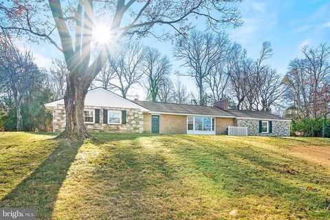 Jackson, LAFAYETTE HILL, PA 19444