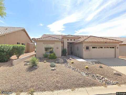 Texas Ebony, GOLD CANYON, AZ 85118