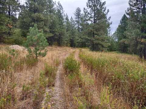 Xx Little Sweden Rd, Valley, WA 99181