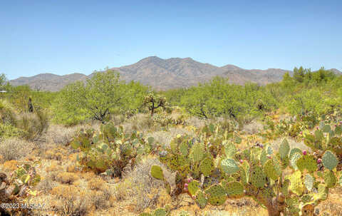 Parcel D E Calle Agassiz Road, Vail, AZ 85641