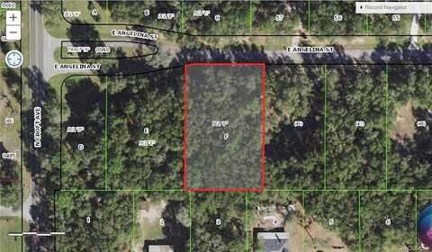 E Angelina Street, Inverness, FL 34453