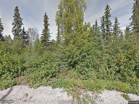 Snowberry Rd, Willow, AK 99688