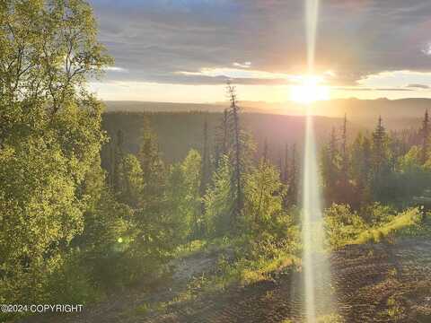 Snowberry Rd, Willow, AK 99688