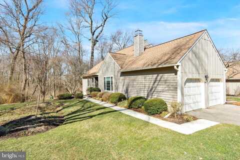 Tulip Tree, BLUE BELL, PA 19422