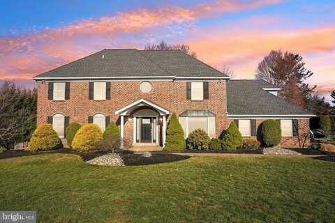 Saxon, AMBLER, PA 19002