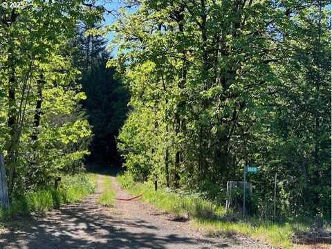 56830 NW WILSON RIVER HWY, Gales Creek, OR 97117