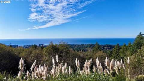 Eastwood, Brookings, OR 97415
