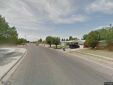 Catnip, EL PASO, TX 79925