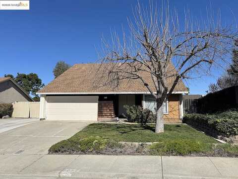 Bluebell, ANTIOCH, CA 94531
