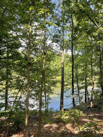 Westshore, Trenton, TN 38382