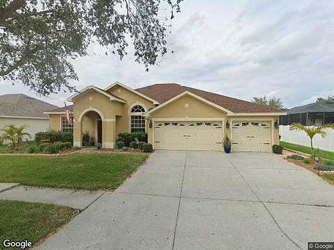 Wildcat, RIVERVIEW, FL 33579