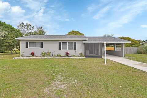 Morning Glory, DEBARY, FL 32713