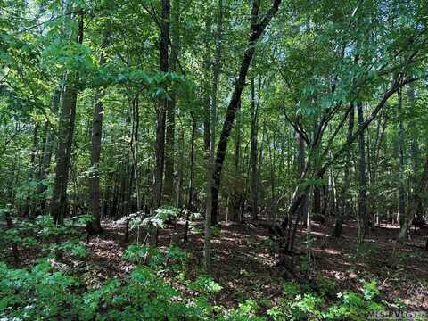 Lot 52 Pasture Gate Road, Macon, NC 27551
