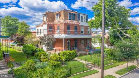 Tulip, PHILADELPHIA, PA 19135