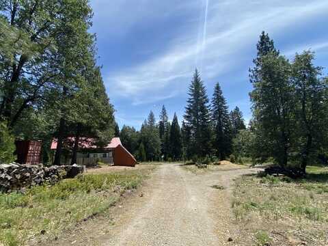 1-D-8 Mt Shasta Dr, McCloud, CA 96057