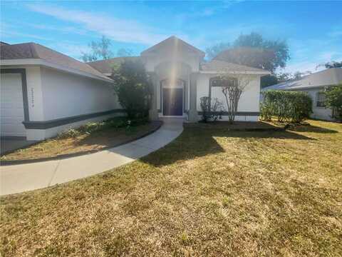 Sora, WESLEY CHAPEL, FL 33544