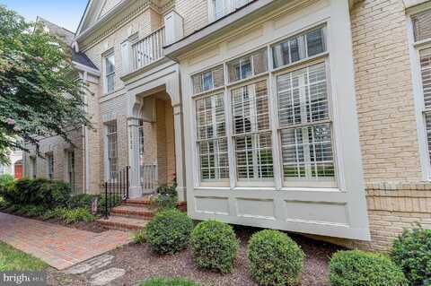 Lady Somerset, FAIRFAX, VA 22033