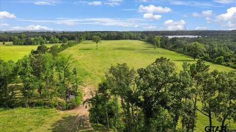 19071 FM 1252, Winona, TX 75792