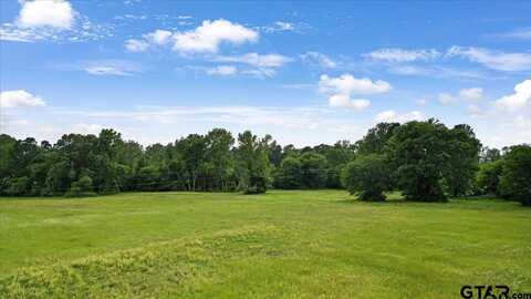 13711 CR 370, Winona, TX 75792