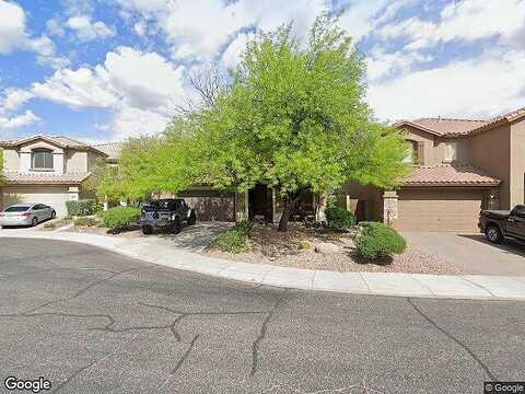 Wisdom, ANTHEM, AZ 85086