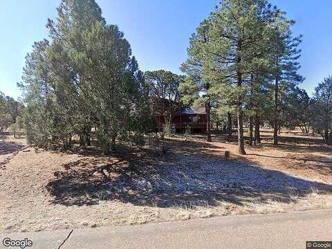 Mountain Lion, OVERGAARD, AZ 85933