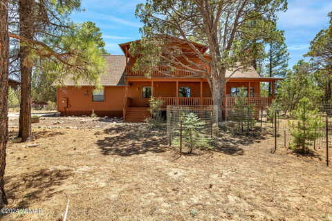 Mountain Lion, OVERGAARD, AZ 85933