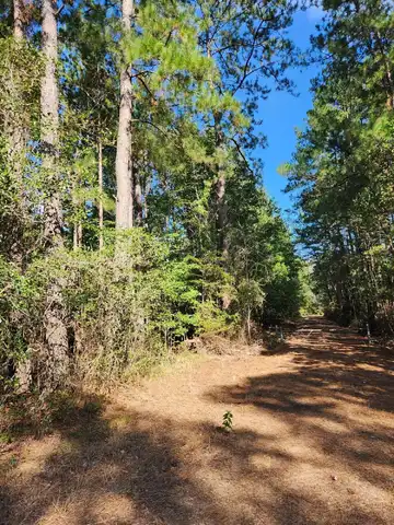 000 Johnson Rd., Lumberton, MS 39455