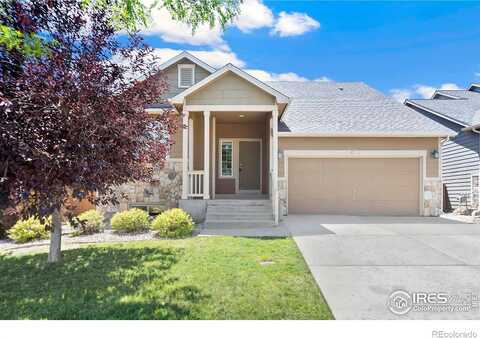 Stoney Brook, FORT COLLINS, CO 80525