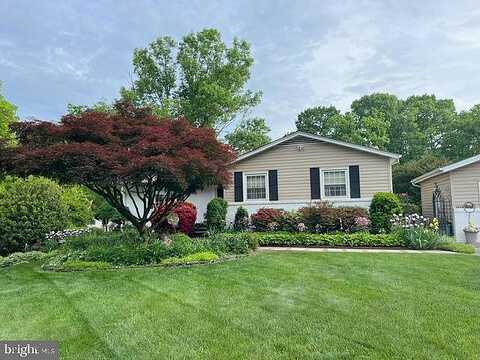 Queen Anne, FAIRFAX, VA 22030