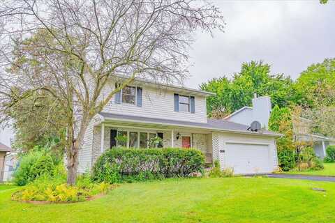 Clove, MADISON, WI 53704