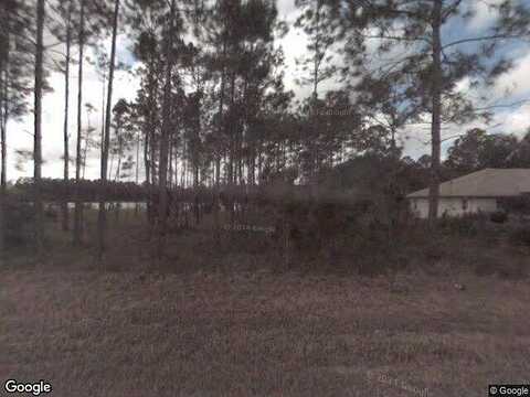 Kaffir Lily, PALM COAST, FL 32164